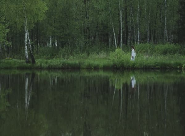 Выставка «Децентрализация»