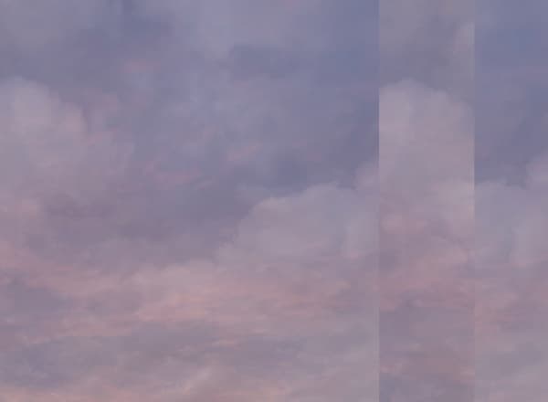 Выставка «Work in Progress. Part II. Нежность»