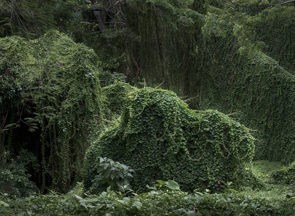 Анхела Копелло. Совершенство Анхела Копелло. Совершенство