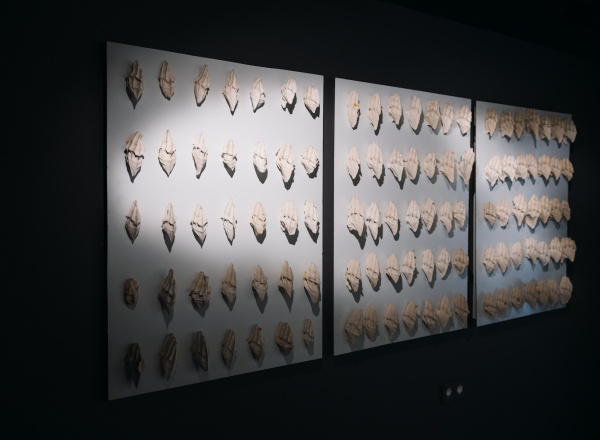 Выставочный проект «Все напоказ?» Выставочный проект «Все напоказ?»