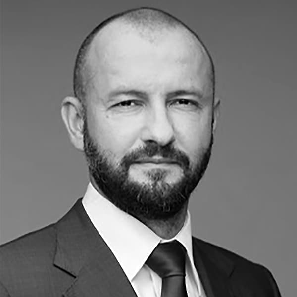 Денис Химиляйне, коллекционер