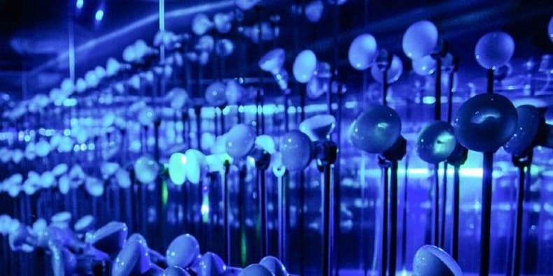 Самое интересное из мира дизайна и искусства: с 22 по 28 января 2024