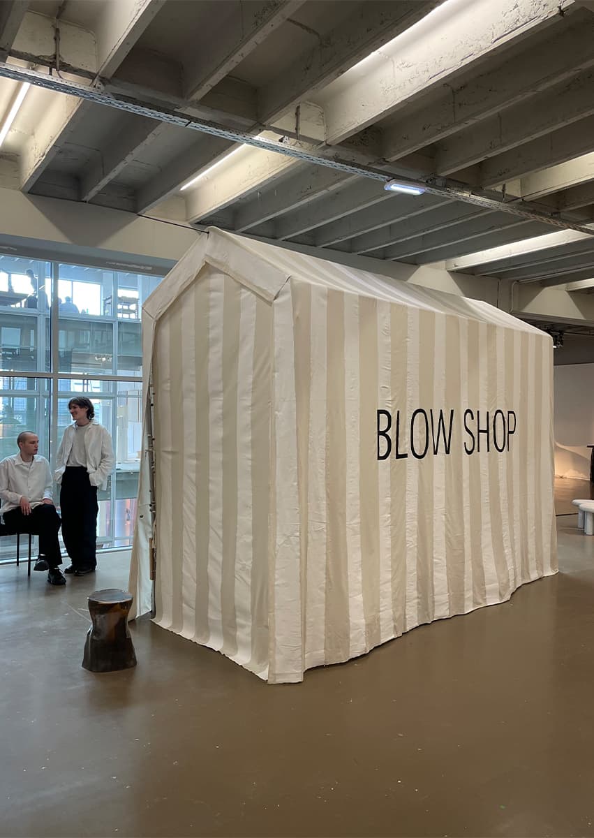 BLOW SHOP. Дневники Юлии Ионовой с ярмарки Collectible