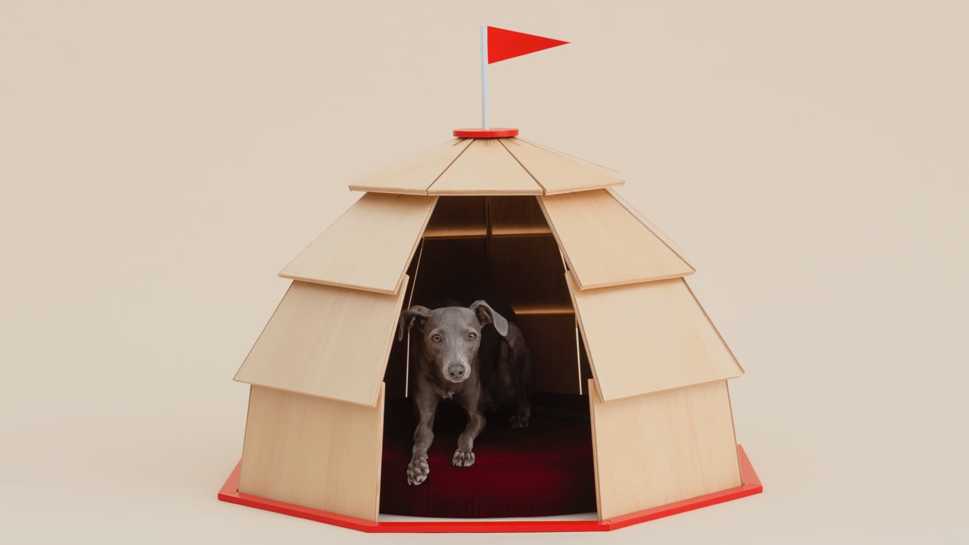 Architecture for Dogs: будка для собак в интерпретации известных архитекторов Architecture for Dogs: будка для собак в интерпретации известных архитекторов
