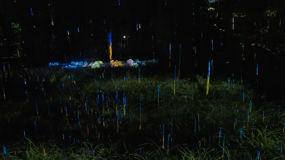 teamLab‬ представили новую работу в Осаке, вдохновленную природными явлениями