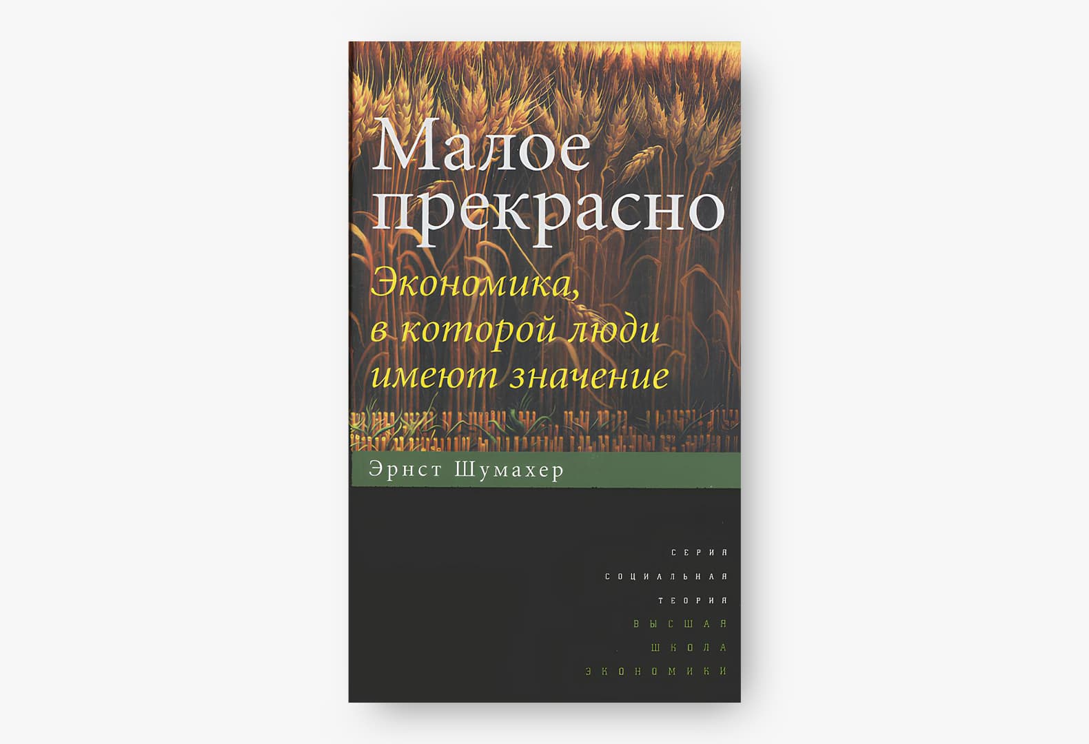 6 актуальных книг для архитекторов: рекомендации Никиты Токарева