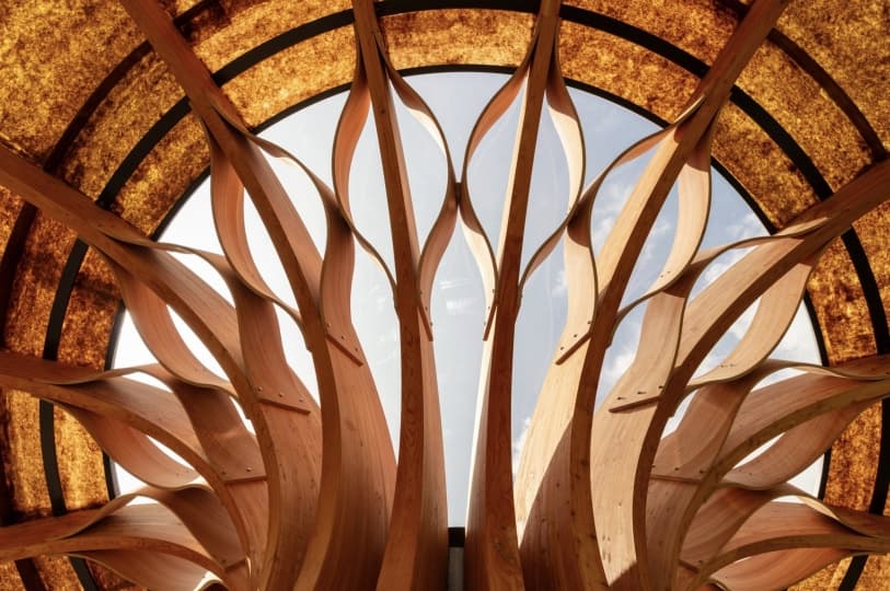 Павильон как живой организм: проект Mizzi Studio для Королевских ботанических садов Кью
