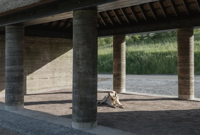 Fuinneamh Workshop Architects построили укрытие из природных материалов в ирландском парке