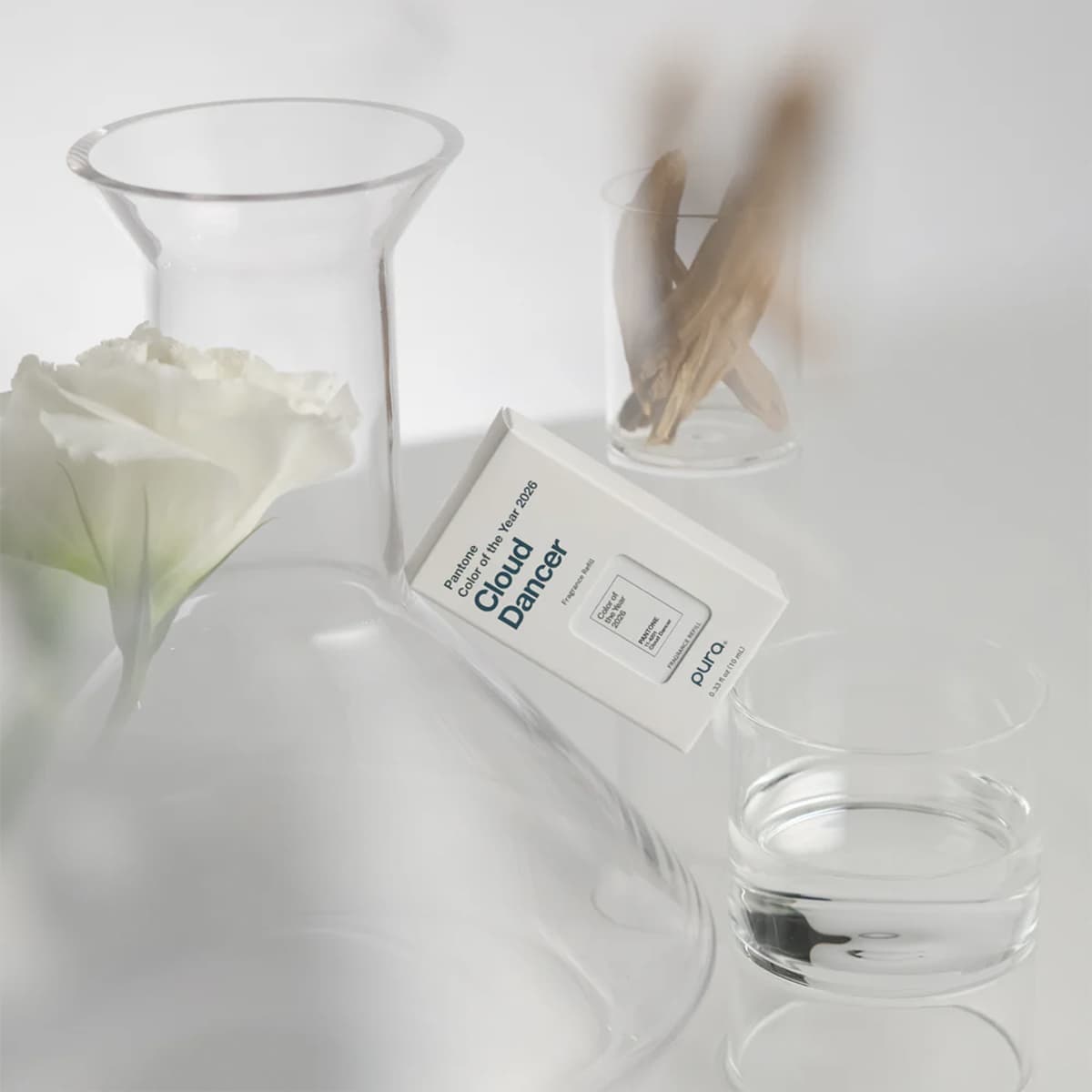 Cloud Dancer. Pantone