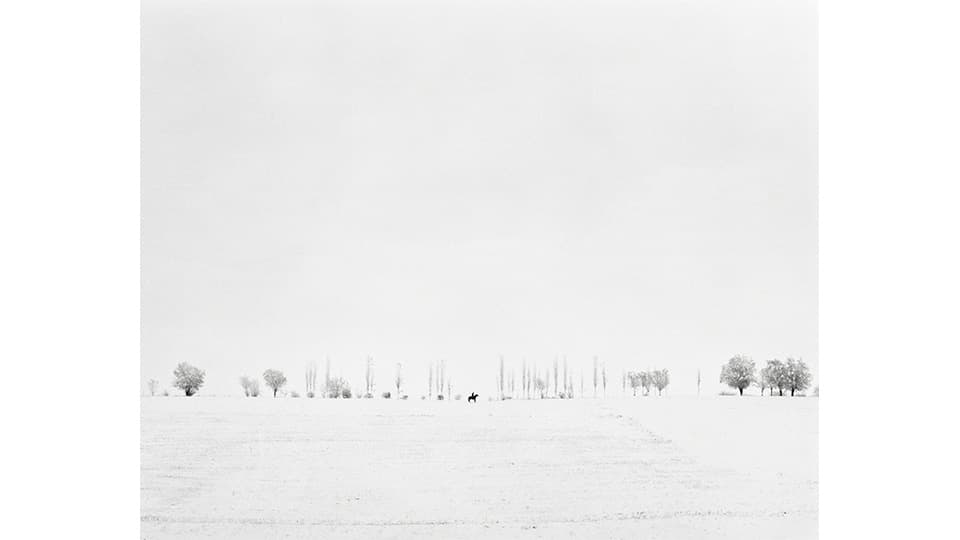 The Rider, 2012 FYODOR SAVINTSEV