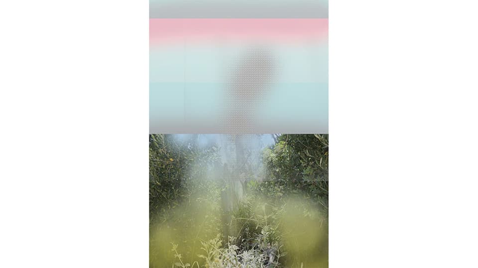 Proposal for garden, pink and pattern (carpet), 2016 ANDREY BOGUSH