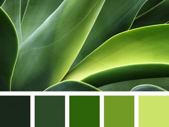 Институт колористики Pantone выбрал цвет 2017 года