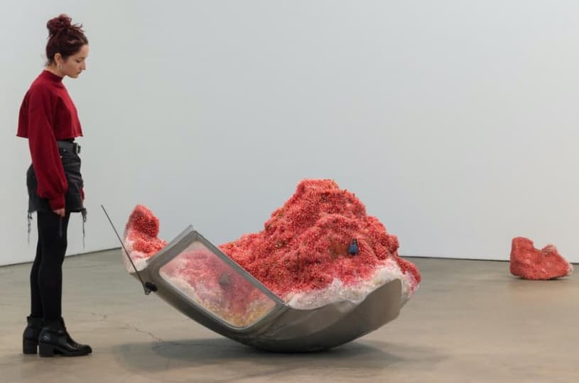 «Bad Fruit» Кэтлин Райан в François Ghebaly «Bad Fruit» Кэтлин Райан в François Ghebaly