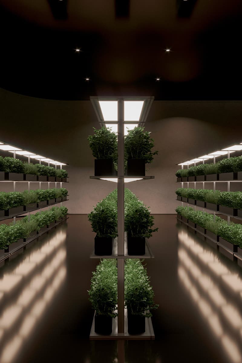 Проект подземного дома Plan B от Sergey Makhno Architects