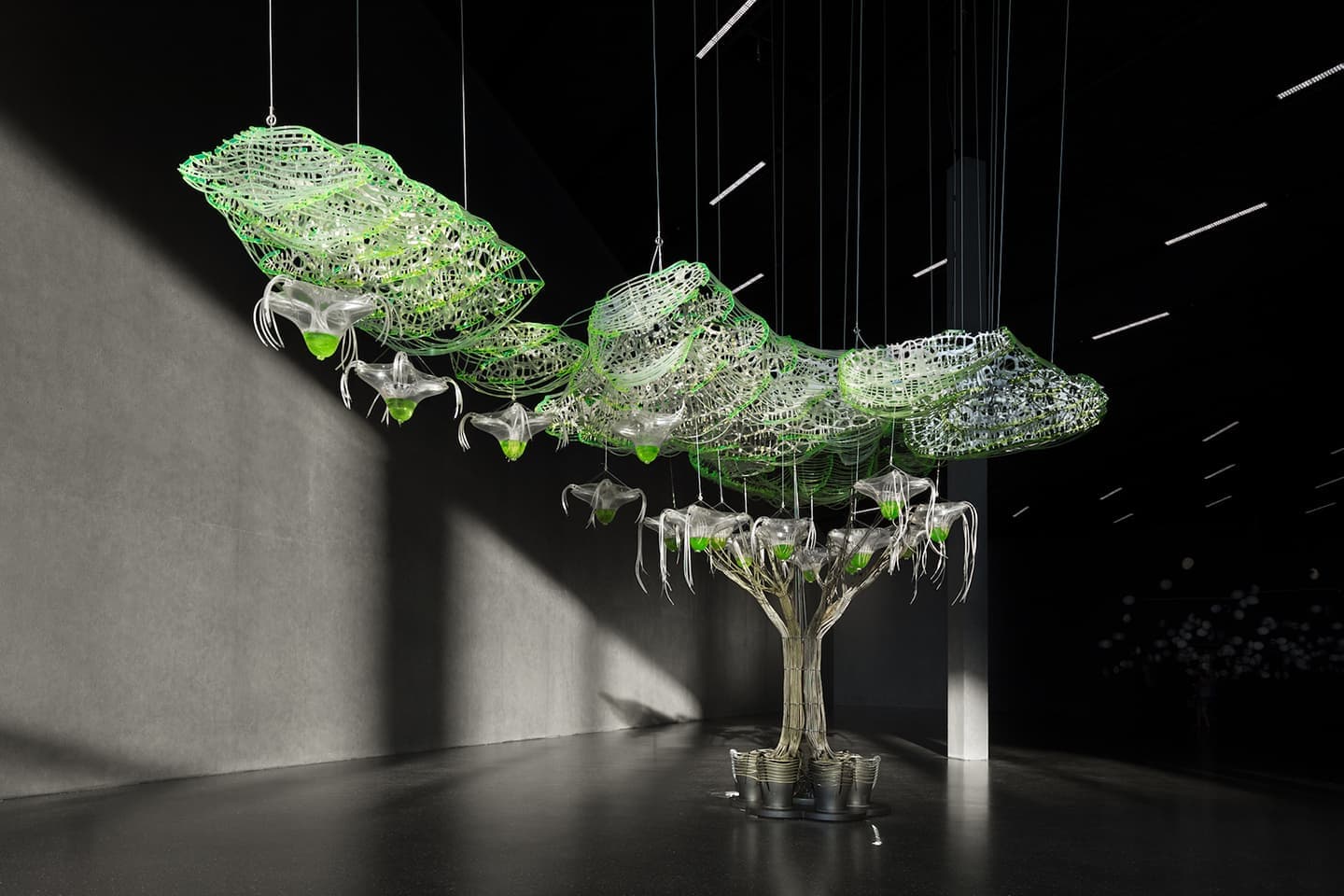 Проект SuperTree