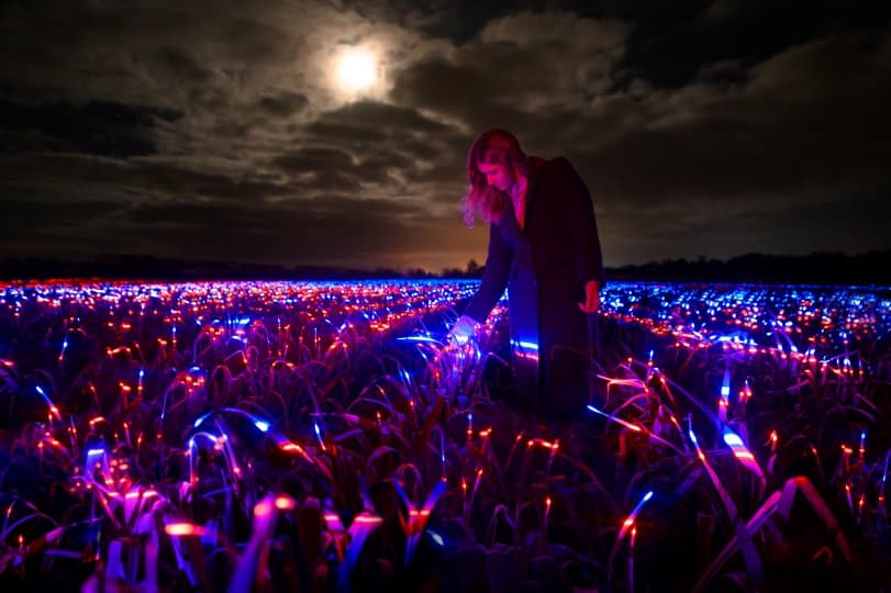 Studio Roosegaarde осветили сельское хозяйство в Голландии
