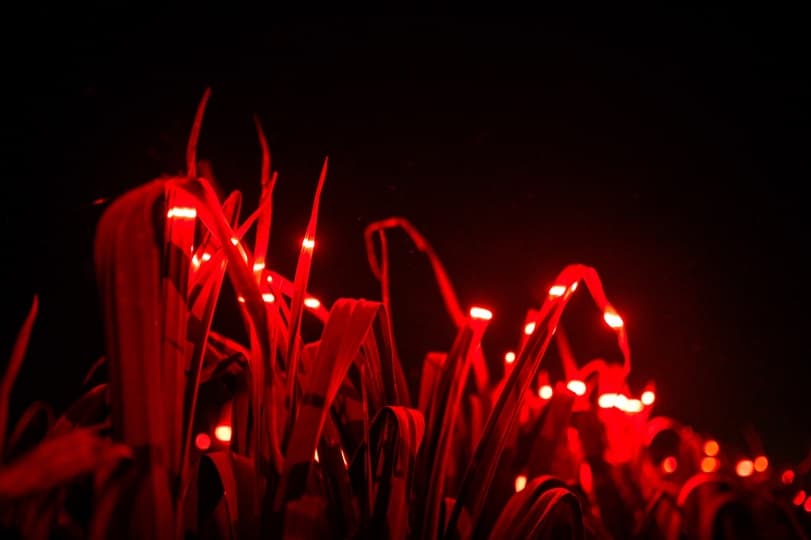 Studio Roosegaarde осветили сельское хозяйство в Голландии