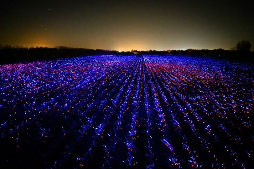 Studio Roosegaarde осветили сельское хозяйство в Голландии