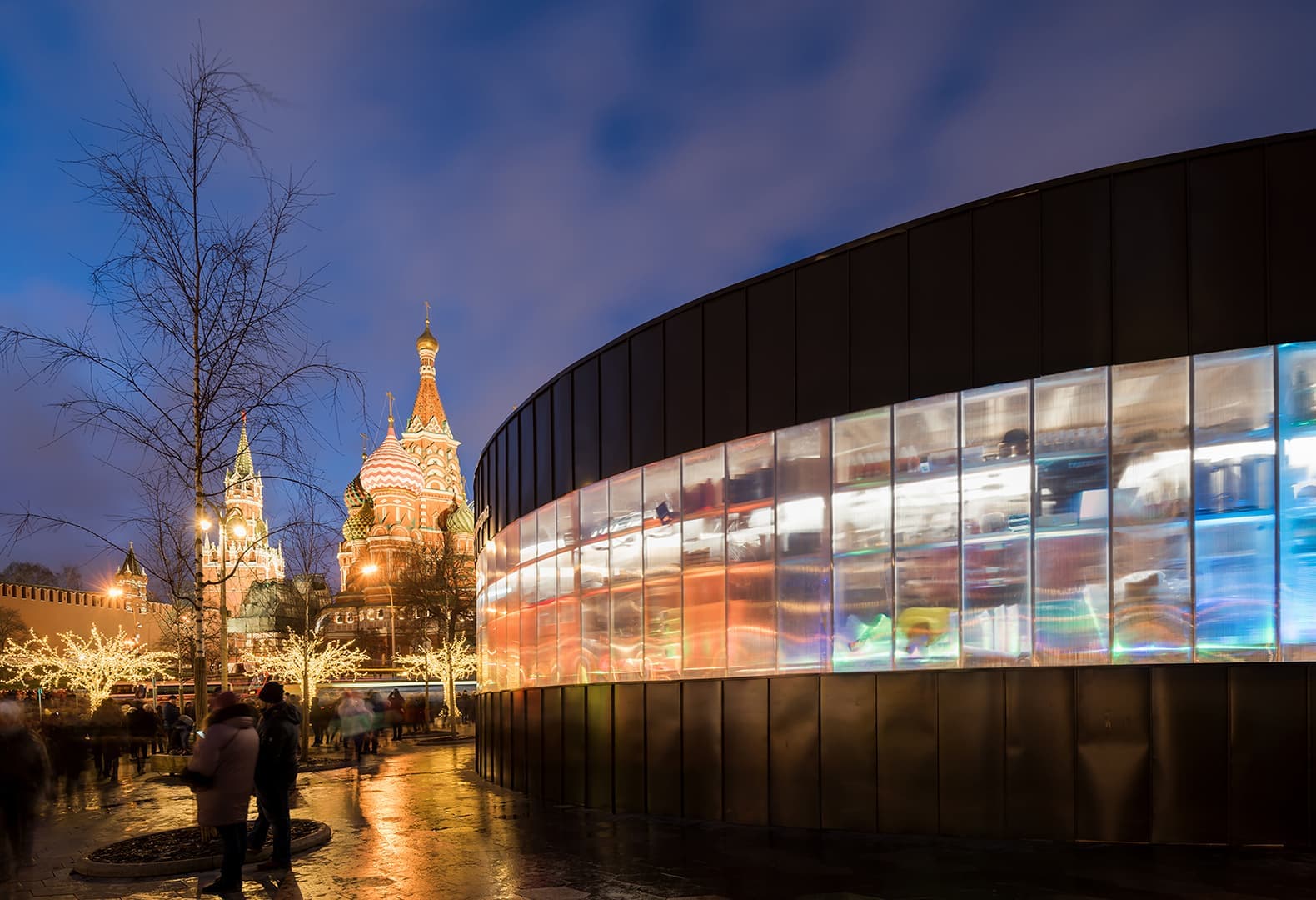 Проект TRY architecture «Снегосад» в Зарядье