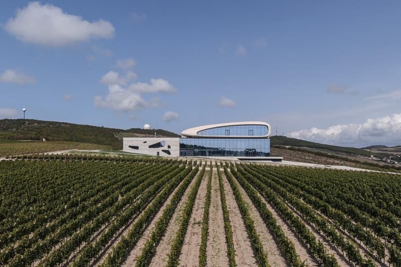 Винодельня Côte Rocheuse на премии ArchDaily «Здание года 2021»
