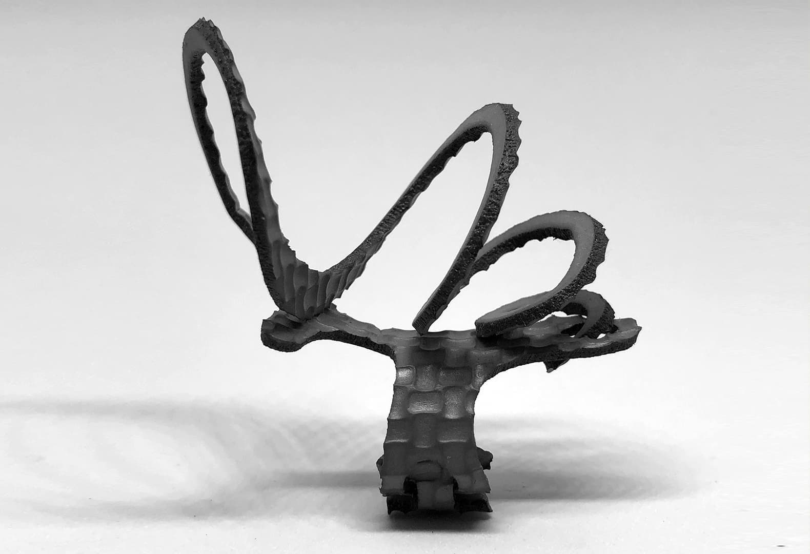 Роберто Занон. Кольцо Fuoco Artificiale, 2018