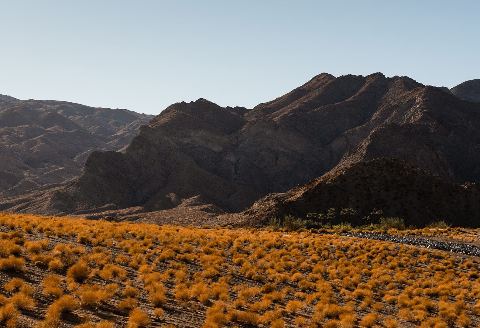 Desert X 2021