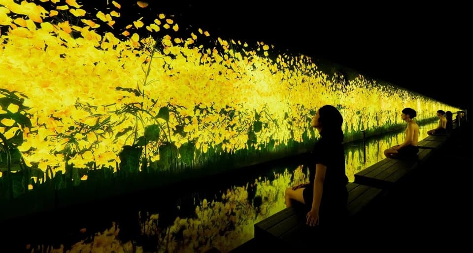 Арт & сауна: беспрецедентная выставка teamLab