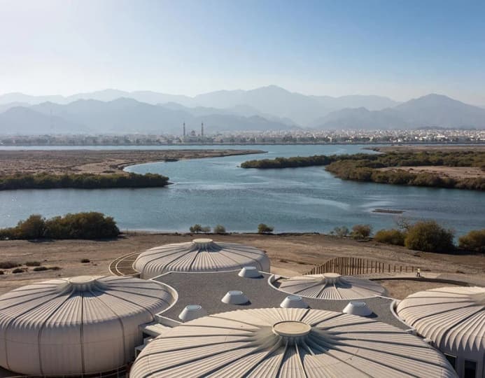 Hopkins Architects завершили строительство заповедника черепах и дикой природы в ОАЭ Hopkins Architects завершили строительство заповедника черепах и дикой природы в ОАЭ