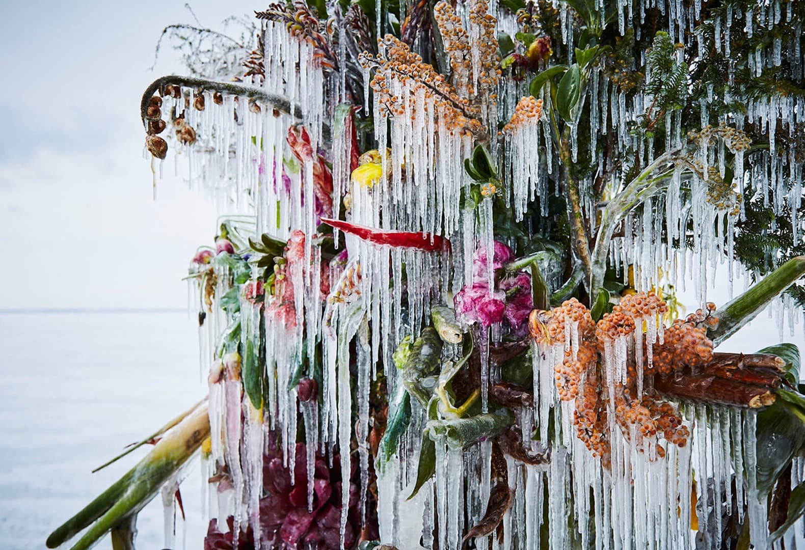 Frozen Flowers, проект Макото Азумы