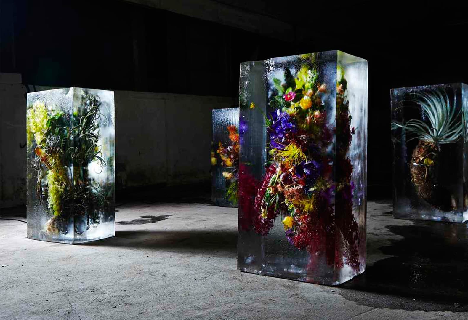 Iced Flowers, проект Макото Азумы