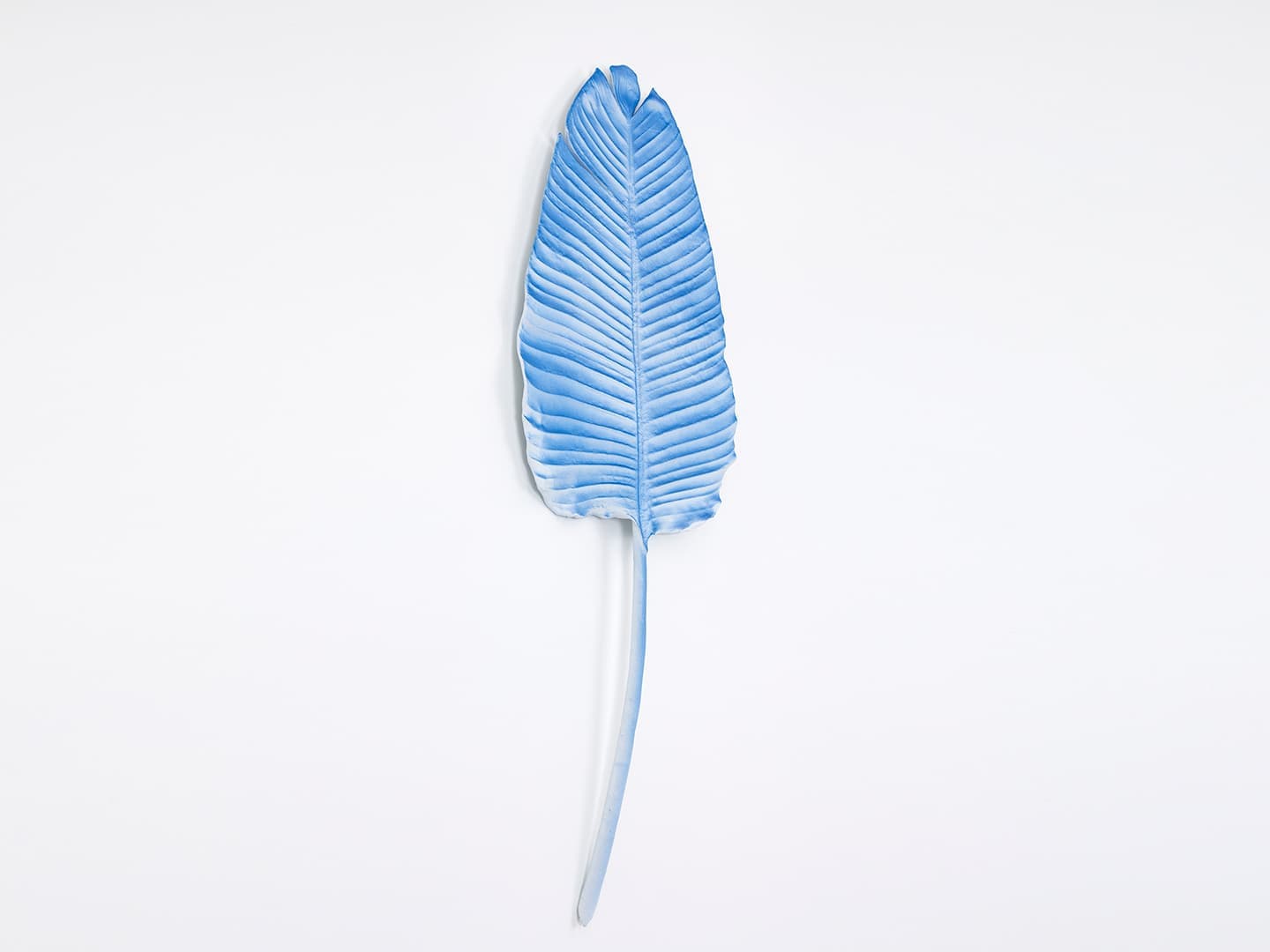 Bronze Leaf. Objects for Living. DanielArsham
