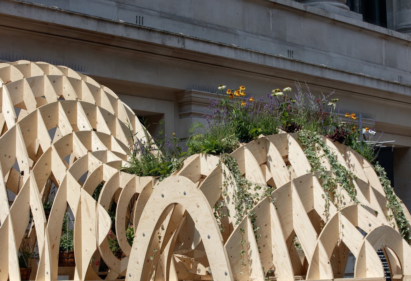 Home Away from Hive – Mizzi Studio. Фото: Luke O’Donovan