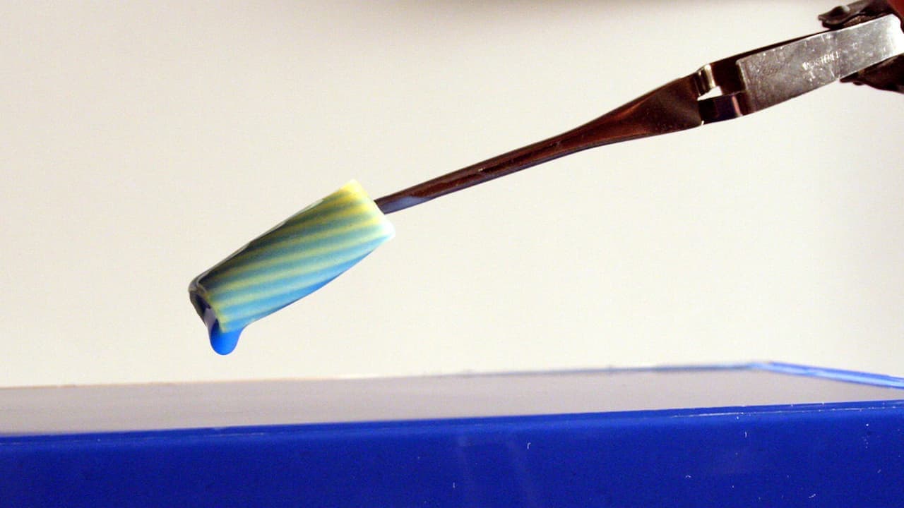 Дизайн продуктов питания (Food Design), 2009
