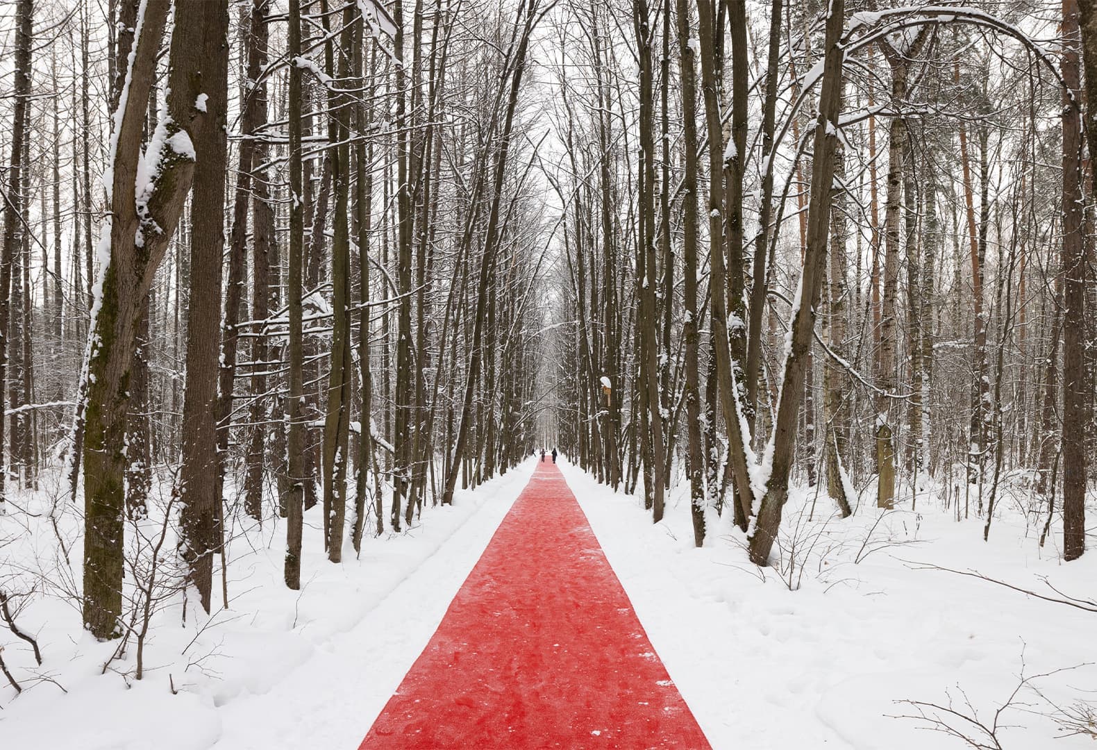 Белый лес: лэнд-арт в Парке Малевича. Никуда / Nowhere. Григорий Орехов. Фото: Иван Ерофеев