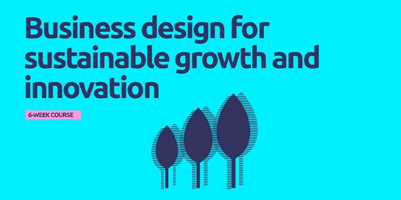 Business Design for Sustainable Growth and Innovation