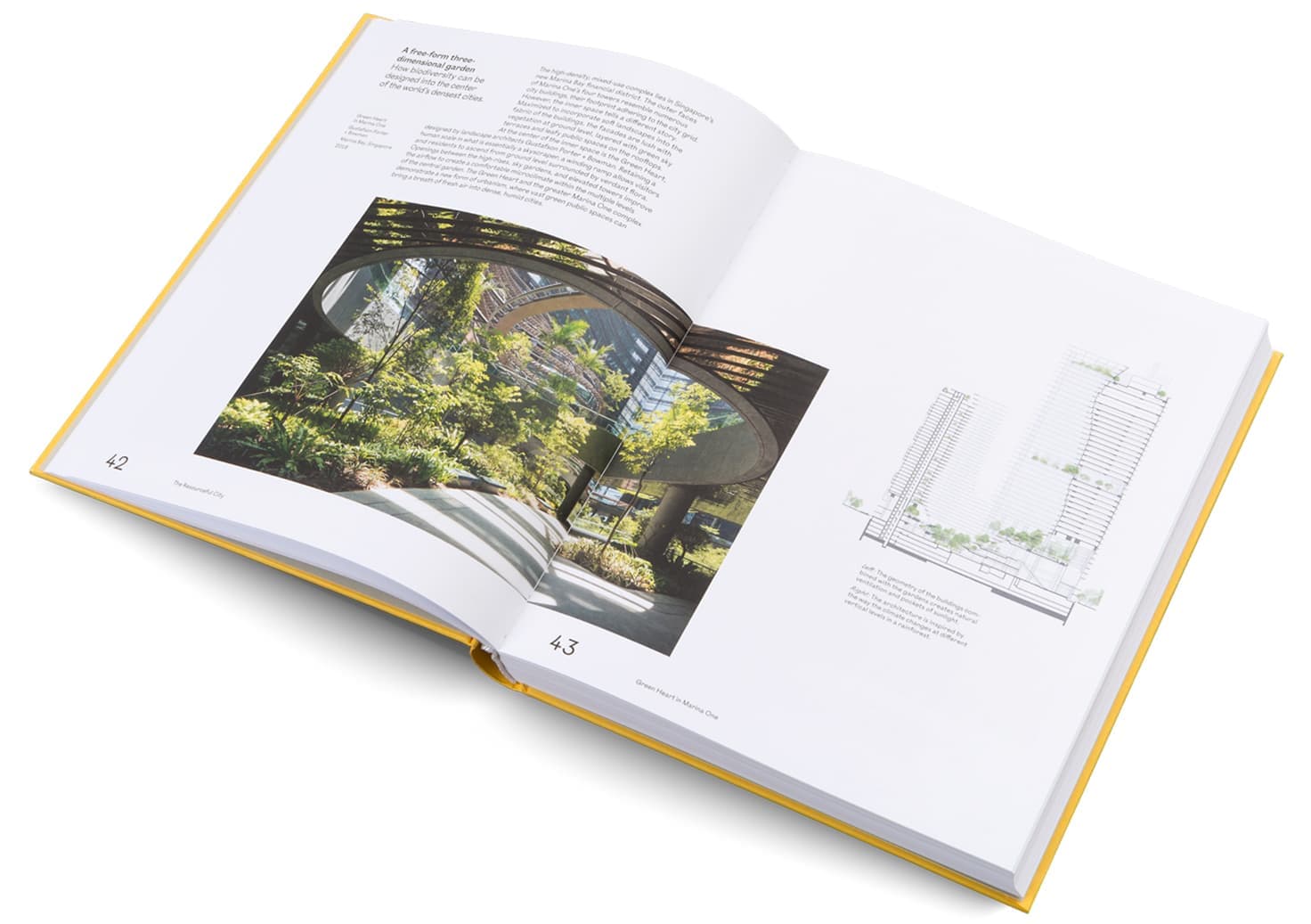 The Ideal City, gestalten 2021