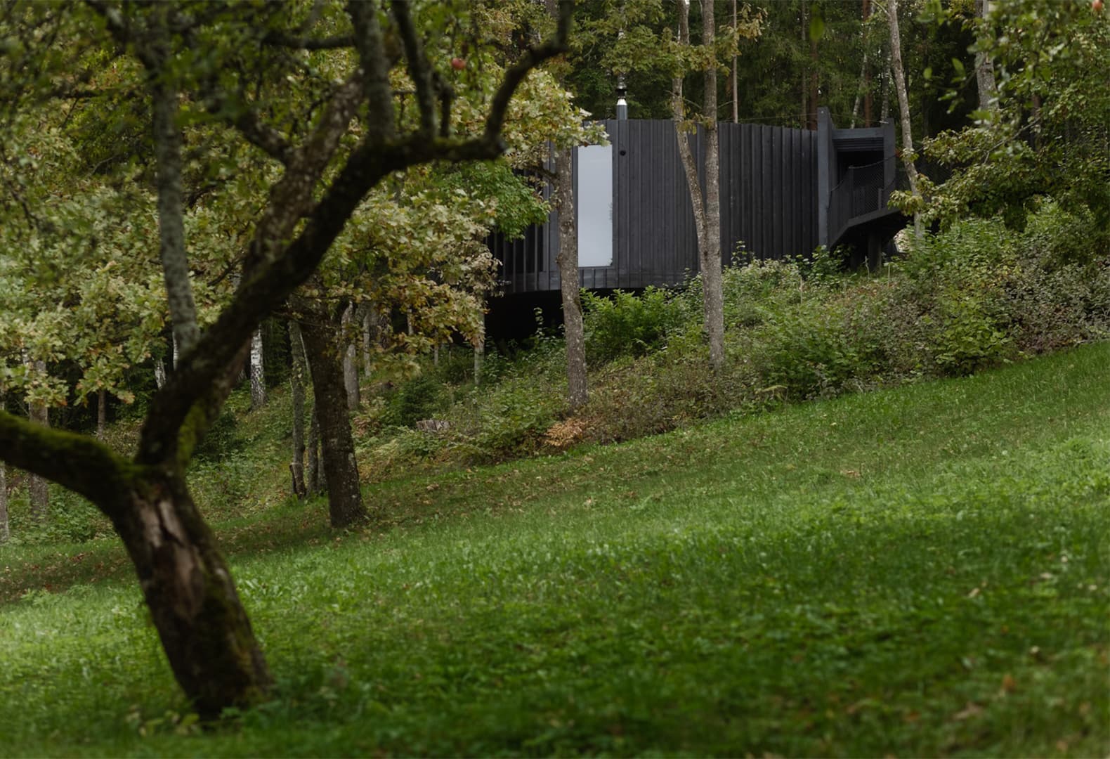 Wool Sauna, OPEN AD, Латвия. Фото: Alvis Rozenbergs