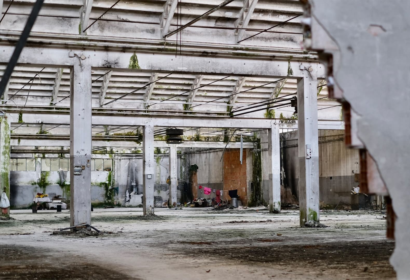 Здание заброшенного завода Necchi. Фото: Fuorisalone