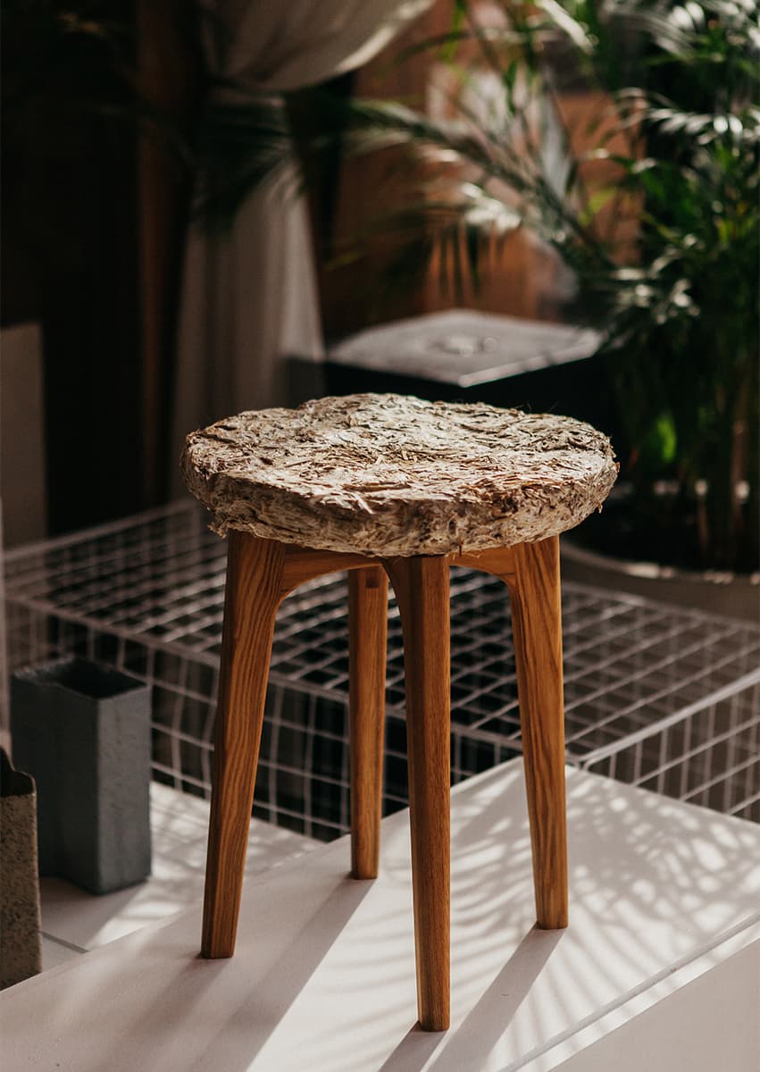 MYCO chair, Татьяна Ситникова