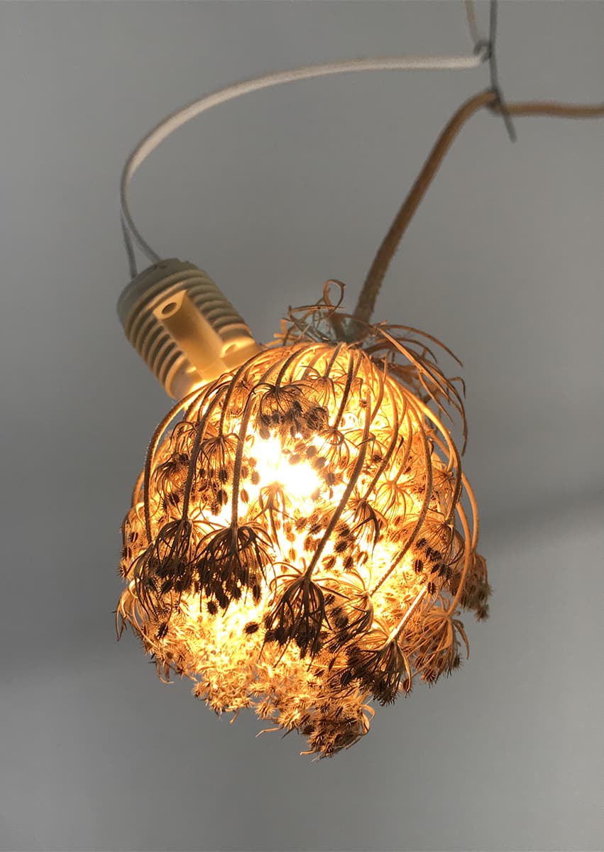 Светильник Semilla Led