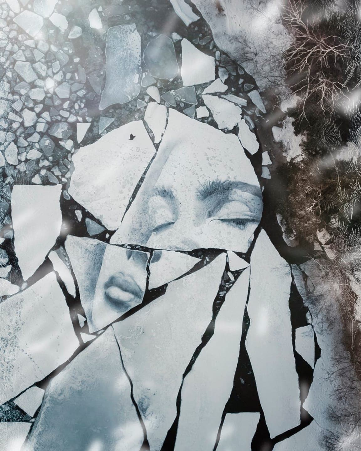 Fractured. Фото: Sam Putkonen; David Popa