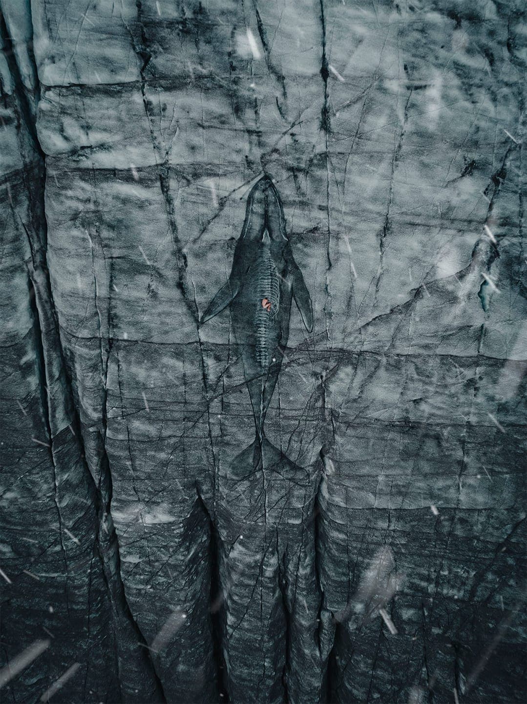 Le Pouvoir De La Terre и Adrift. Фото: David Popa