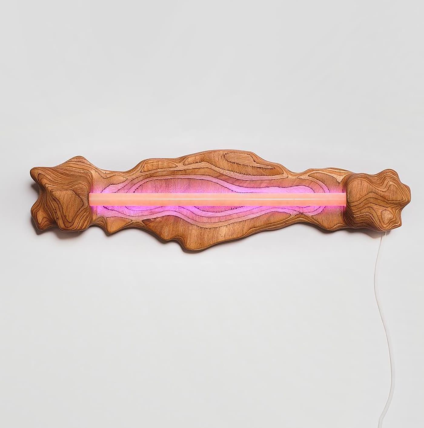 ROSA SAKER, Studio Gert Wessels. Fābula Gallery
