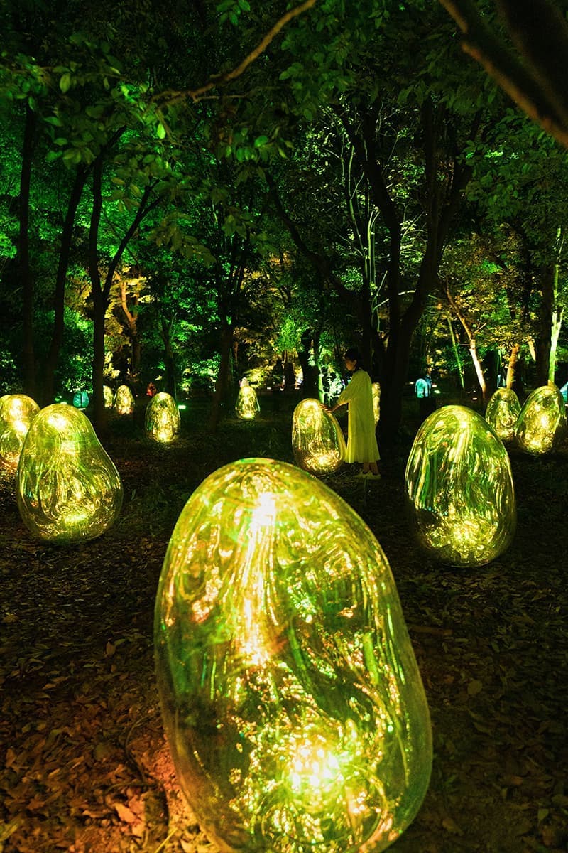 teamLab, Resonating Microcosms in the Common Camellia Garden - Solidified Light Color, Sunrise and Sunset. Фото: © teamLab