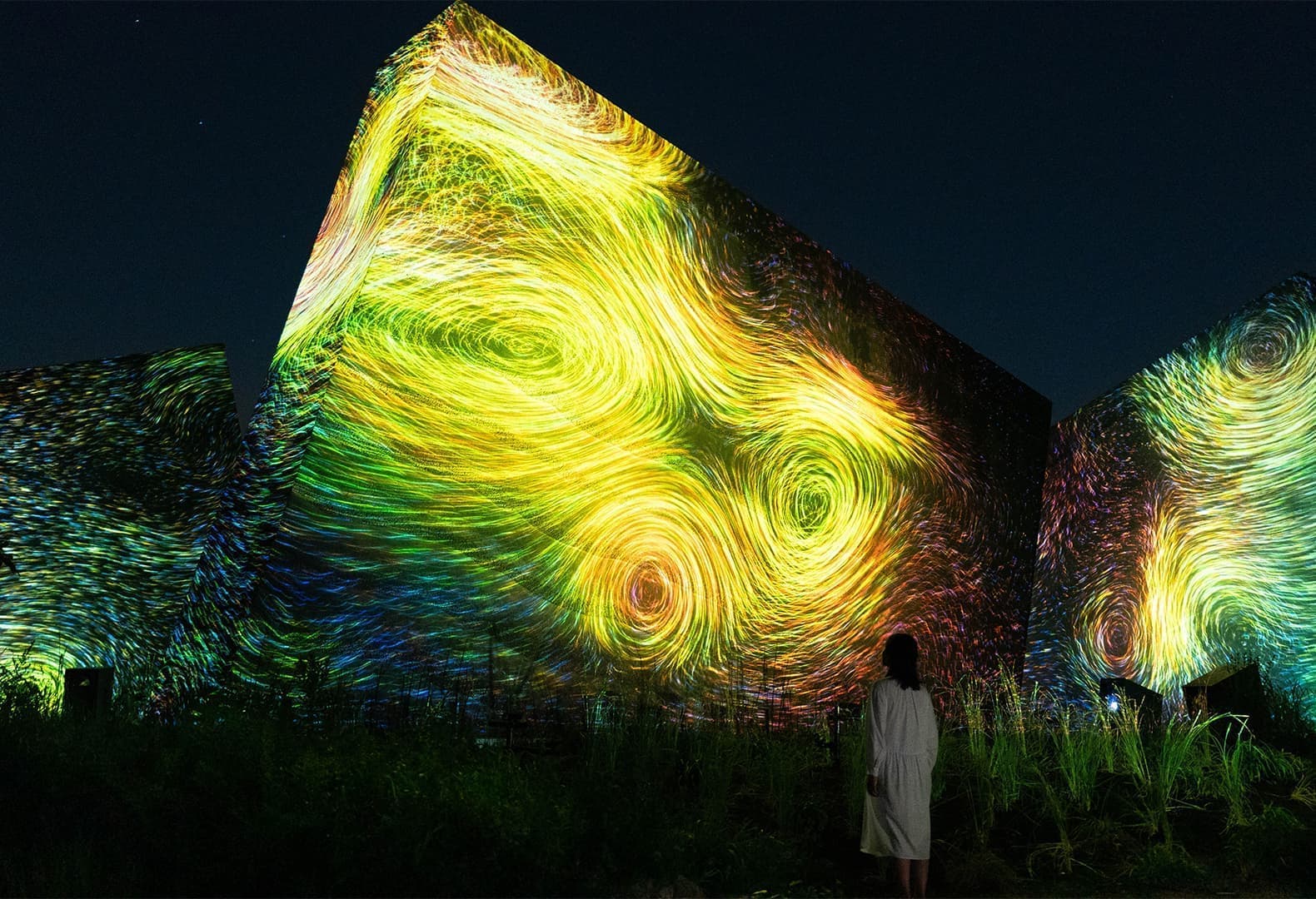 teamLab, Sculptures of Dissipative Birds in the Wind. Фото: © teamLab
