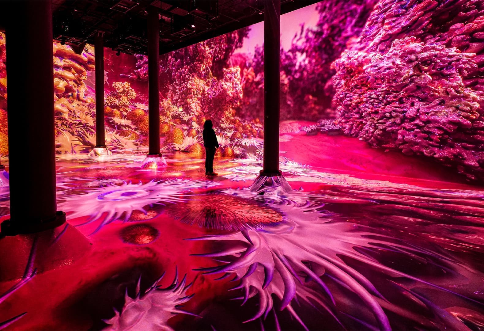 MAGENTAVERSE. Фото: Pantone х ARTECHOUSE